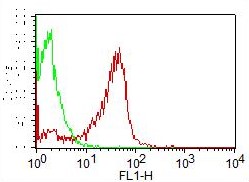 CD7 Antibody - Fig-1: Cell Surface FLOW analysis of hCD7 FITC in PBMC (Lymphocyte gated) using 0.2 µg/10^6 cells. Green represents isotype control; red represents hCD7 FITC conjugated antibody (-F, clone: BF12).