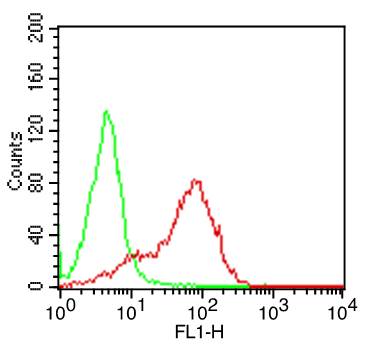 CD7 Antibody - Fig-1: Cell Surface flow analysis of hCD7 in PBMC (Lymphocyte gated) using 0.5 µg/10^6 cells. Green represents isotype control; red represents hCD7 antibody (, clone: BF12). Goat anti-mouse FITC conjugated secondary antibody was used.