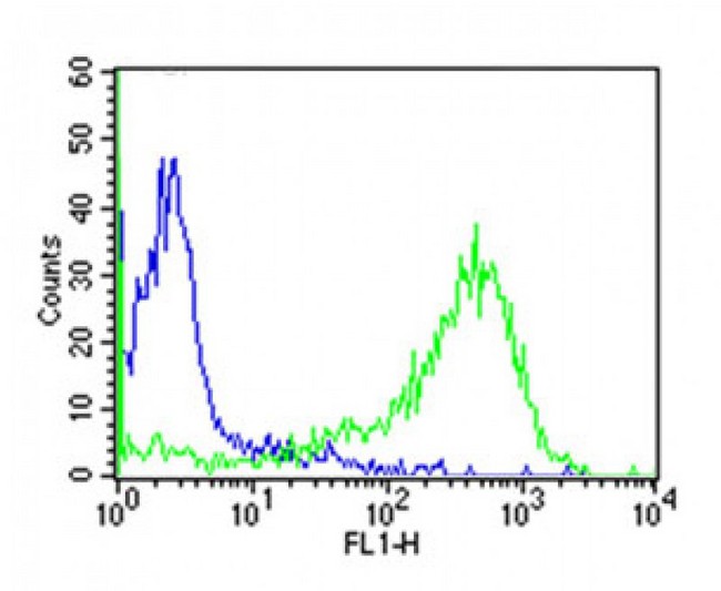 CD7 Antibody - Overlay histogram showing huuman peripheral blood lymphocytes stained with CD7 antibody (green line). The cells were icubated in 2% bovine serum albumin to block non-specific protein-protein interactions followed by the antibody (1:50 dilution) for 60min at 37°C. The secondary antibody used was Goat Anti-Mouse IgG, DyLight® 488 Conjugated Highly Cross-Adsorbed (OJ192088) at 1/200 dilution for 40min at 37°C. Isotype control antibody (blue line) was mouse IgG1 (1µg/1x10^6 cells) used under the same conditions. Acquisition of >10, 000 events was performed.