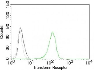 CD71 / Transferrin Receptor Antibody - Flow cytometry testing of Jurkat cells with Alexa Fluor 488-labeled Transferrin Receptor antibody (green).  This image was taken for the unmodified form of this product. Other forms have not been tested.