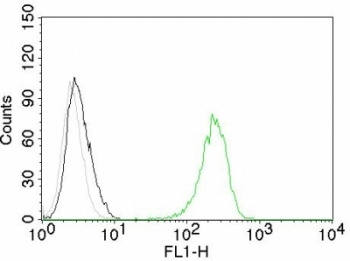 CD71 / Transferrin Receptor Antibody - Flow cytometry testing of Jurkat cells. Black: cells alone; Grey: isotype control; Green: AF488-labeled Transferrin Receptor antibody (TFRC/1059).  This image was taken for the unmodified form of this product. Other forms have not been tested.