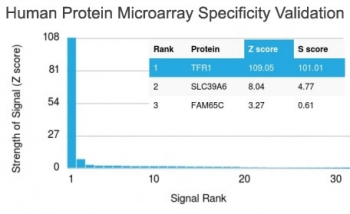 CD71 / Transferrin Receptor Antibody - Analysis of HuProt(TM) microarray containing more than 19,000 full-length human proteins using Transferrin Receptor antibody (clone TFRC/1839). These results demonstrate the foremost specificity of the TFRC/1839 mAb. Z- and S- score: The Z-score represents the strength of a signal that an antibody (in combination with a fluorescently-tagged anti-IgG secondary Ab) produces when binding to a particular protein on the HuProt(TM) array. Z-scores are described in units of standard deviations (SDs) above the mean value of all signals generated on that array. If the targets on the HuProt(TM) are arranged in descending order of the Z-score, the S-score is the difference (also in units of SDs) between the Z-scores. The S-score therefore represents the relative target specificity of an Ab to its intended target.