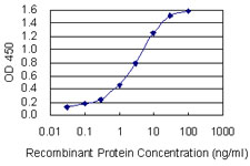CD72 Antibody - Detection limit for recombinant GST tagged CD72 is 0.03 ng/ml as a capture antibody.