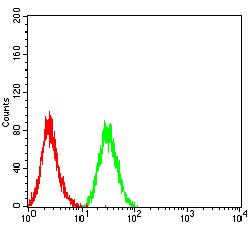 CD72 Antibody - Flow cytometric analysis of HL-60 cells using CD72 mouse mAb (green) and negative control (red).