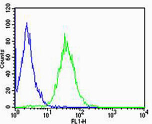 CD74 / CLIP Antibody - Flow cytometric of Raji cells with CD74 (green) compared to an isotype control of mouse IgG2b (blue). Antibody was diluted at 1:25 dilution. An Alexa Fluor 488 goat anti-mouse lgG at 1:400 dilution was used as the secondary antibody.