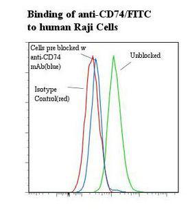 CD74 / CLIP Antibody - Flow cytometry of CD74 antibody This image was taken for the unconjugated form of this product. Other forms have not been tested.