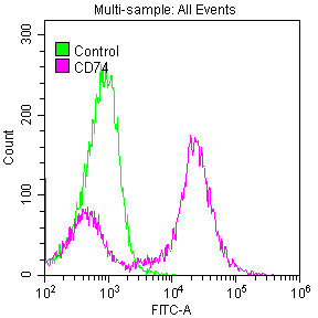 CD74 / CLIP Antibody - Overlay histogram showing Raji cells stained (red line) at 1:50. The cells were fixed with 70% Ethylalcohol (18h) and then permeabilized with 0.3% Triton X-100 for 2 min.The cells were then incubated in 1x PBS /10% normal Goat serum to block non-specific protein-protein interactions followed by primary antibody for 1 h at 4C.The Secondary antibody used was FITC Goat anti-rabbit IgG (H+L) at 1/200 dilution for 1 h at 4C. Control antibody (green line) was used under the same conditions. Acquisition of >10,000 events was performed.