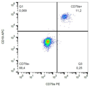 CD79A / CD79 Alpha Antibody - Surface staining of CD79a in human peripheral blood with anti-CD79a (HM47) PE.