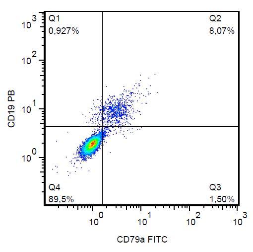 CD79A / CD79 Alpha Antibody - Intracellular staining of CD79a in human peripheral blood with anti-CD79a (HM57) FITC.