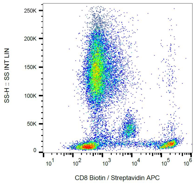 CD8 Antibody - Surface staining of human peripheral blood using anti-human CD8 (clone MEM-31) biotin. 