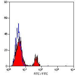 CD8 Antibody - Flow cytometry of canine peripheral blood lymphocytes with Rat anti-Canine CD8:FITC This image was taken for the unconjugated form of this product. Other forms have not been tested.