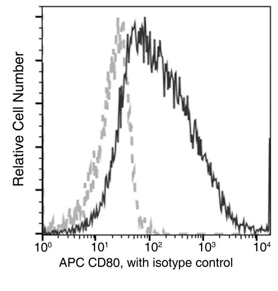 CD80 Antibody - Flow cytometric analysis of Mouse CD80 expression on LPS-stimulated BABL/c splenocytes. Cells were stained with APC-conjugated anti-Mouse CD80. The fluorescence histograms were derived from gated events with the forward and side light-scatter characteristics of intact cells.