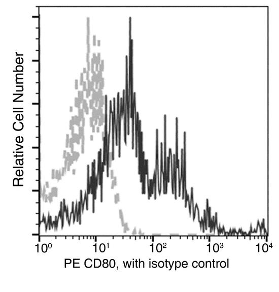 CD80 Antibody - Flow cytometric analysis of Mouse CD80 expression on LPS-stimulated BABL/c splenocytes. Cells were stained with PE-conjugated anti-Mouse CD80. The fluorescence histograms were derived from gated events with the forward and side light-scatter characteristics of intact cells.