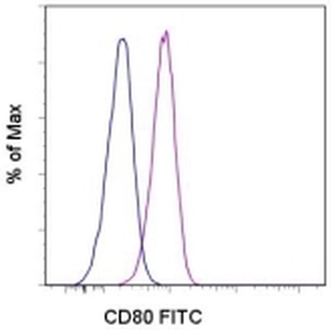 CD80 Antibody - CD80 (B7-1) Antibody in Flow Cytometry (Flow)