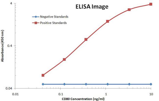 CD80 Antibody - CD80 ELISA with 1A10 Capture and 11G5 Detection Antibodies. Substrate used: Recombinant Human CD80