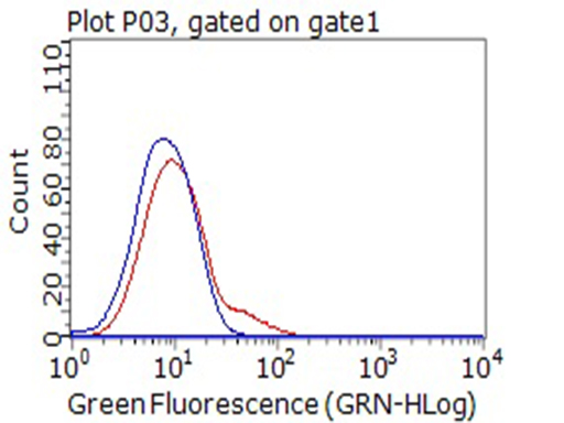 CD80 Antibody - Flow cytometric Analysis of living Jurkat cells, using anti-CD80 antibody. (Red), compared to an IgG isotype control. (Blue). (1:100)