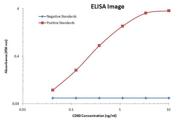 CD80 Antibody - CD80 ELISA with 1G9 Capture and 11G5 Detection Antibodies. Substrate used: Recombinant Human CD80
