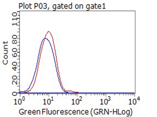 CD80 Antibody - Flow cytometric Analysis of living Jurkat cells, using anti-CD80 antibody. (Red), compared to an IgG isotype control. (Blue). (1:100)