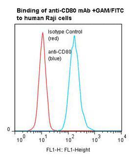 CD80 Antibody - Flow cytometry of CD80 / B7 antibody This image was taken for the unmodified form of this product. Other forms have not been tested.