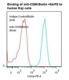 CD80 Antibody - Flow cytometry of CD80 / B7 antibody This image was taken for the unconjugated form of this product. Other forms have not been tested.