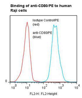 CD80 Antibody - Flow cytometry of CD80 / B7 antibody This image was taken for the unconjugated form of this product. Other forms have not been tested.