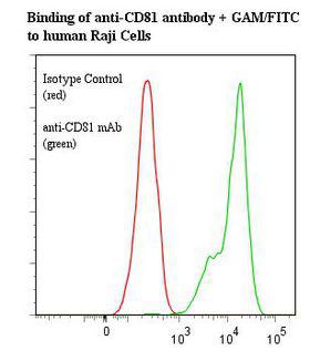 CD81 Antibody - Flow cytometry of CD81 antibody This image was taken for the unmodified form of this product. Other forms have not been tested.