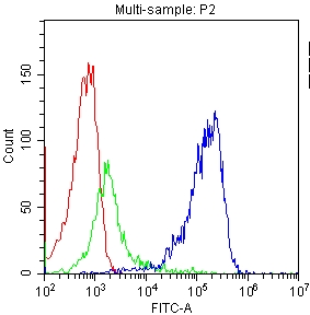 CD81 Antibody - Flow Cytometry analysis of PBMC cells using anti-TAPA1 antibody. Overlay histogram showing PBMC cells stained with anti-TAPA1 antibody (Blue line). The cells were blocked with 10% normal goat serum. And then incubated with rabbit anti-TAPA1 Antibody (1µg/1x106 cells) for 30 min at 20°C. DyLight®488 conjugated goat anti-rabbit IgG (5-10µg/1x106 cells) was used as secondary antibody for 30 minutes at 20°C. Isotype control antibody (Green line) was rabbit IgG (1µg/1x106) used under the same conditions. Unlabelled sample (Red line) was also used as a control.