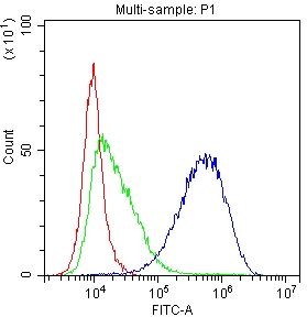 CD81 Antibody - Flow Cytometry analysis of K562 cells using anti-TAPA1 antibody. Overlay histogram showing K562 cells stained with anti-TAPA1 antibody (Blue line). The cells were blocked with 10% normal goat serum. And then incubated with rabbit anti-TAPA1 Antibody (1µg/1x106 cells) for 30 min at 20°C. DyLight®488 conjugated goat anti-rabbit IgG (5-10µg/1x106 cells) was used as secondary antibody for 30 minutes at 20°C. Isotype control antibody (Green line) was rabbit IgG (1µg/1x106) used under the same conditions. Unlabelled sample (Red line) was also used as a control.