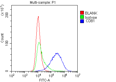 CD81 Antibody - Flow Cytometry analysis of EL-4 cells using anti-TAPA1 antibody. Overlay histogram showing EL-4 cells stained with anti-TAPA1 antibody (Blue line). The cells were blocked with 10% normal goat serum. And then incubated with rabbit anti-TAPA1 Antibody (1µg/1x106 cells) for 30 min at 20°C. DyLight®488 conjugated goat anti-rabbit IgG (5-10µg/1x106 cells) was used as secondary antibody for 30 minutes at 20°C. Isotype control antibody (Green line) was rabbit IgG (1µg/1x106) used under the same conditions. Unlabelled sample (Red line) was also used as a control.