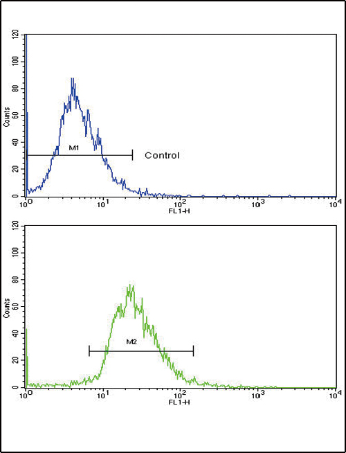 CD82 Antibody - Flow cytometric of HepG2 cells using CD82 (ST6) Antibody (bottom histogram) compared to a negative control cell (top histogram). FITC-conjugated goat-anti-rabbit secondary antibodies were used for the analysis.