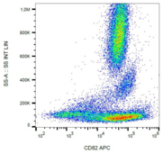 CD82 Antibody - Surface staining of CD82 on human peripheral blood cells with anti-CD82 (C33) APC.