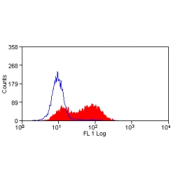 CD83 Antibody - Flow cytometry of LPS stimulated mouse spleen cells with Rat anti-Mouse CD83.  This image was taken for the unconjugated form of this product. Other forms have not been tested.