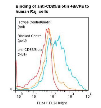 CD83 Antibody - Flow cytometry of CD83 antibody This image was taken for the unconjugated form of this product. Other forms have not been tested.