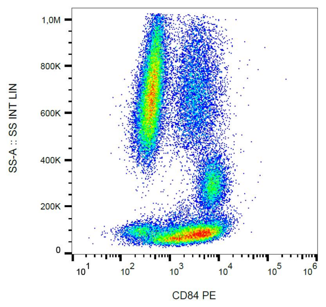 CD84 / SLAMF5 Antibody - Surface staining of CD84 in human peripheral blood with anti-CD84 (CD84.1.21) PE.