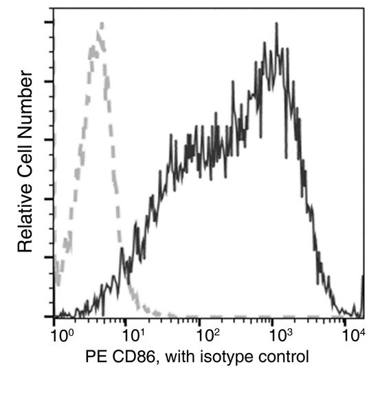 CD86 Antibody - Flow cytometric analysis of rat CD86 expression on LPS-stimulated SD rat splenocytes. Cells were stained with PE-conjugated anti-rat CD86. The fluorescence histograms were derived from gated events with the forward and side light-scatter characteristics of intact cells.