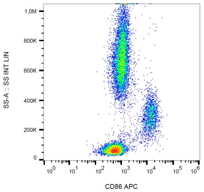 CD86 Antibody - Surface staining of human peripheral blood cells with anti-CD86 (BU63) APC.