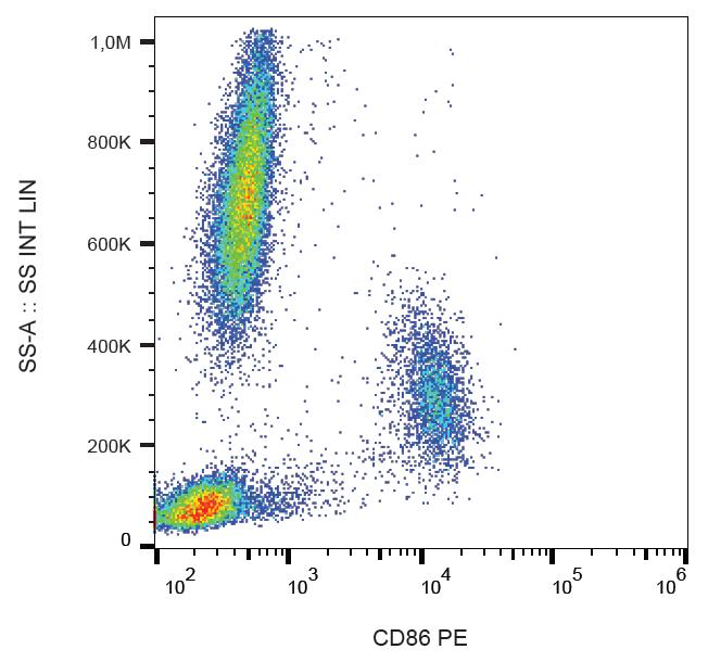 CD86 Antibody - Surface staining of human peripheral blood cells with anti-CD86 (BU63) PE. 