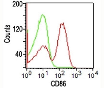 CD86 Antibody - FACS staining of human PBMCs using unlabeled CD86 antibody (BU63) .