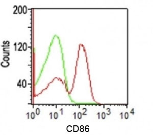CD86 Antibody - Flow cytometry testing of human PBMC using CD86 antibody (C86/1146).  This image was taken for the unmodified form of this product. Other forms have not been tested.