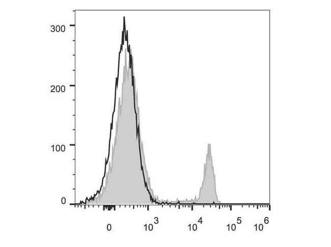 CD8A / CD8 Alpha Antibody