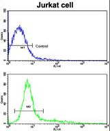 CD9 Antibody - Flow cytometric of Jurkat cells using CD9 Antibody (bottom histogram) compared to a negative control cell (top histogram). FITC-conjugated goat-anti-rabbit secondary antibodies were used for the analysis.