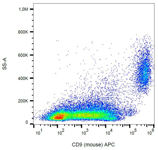 CD9 Antibody - Surface staining of CD9 in murine peritoneal fluid cells with anti-CD9 (EM-04) APC.