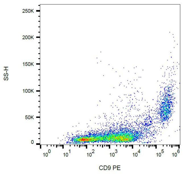 CD9 Antibody - Surface staining of CD9 in murine peritoneal fluid cells with anti-CD9 (EM-04) PE. 
