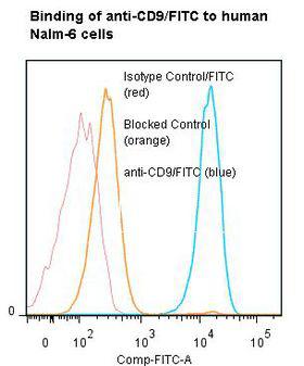 CD9 Antibody - Flow cytometry of CD9 antibody This image was taken for the unconjugated form of this product. Other forms have not been tested.