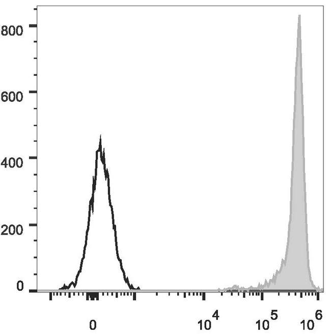 CD90.1 (Mouse) Antibody - Rat thymocytes are stained with Anti-Rat CD90/Mouse CD90.1 Monoclonal Antibody(PE Conjugated)[Used at 0.05 µg/10<sup>6</sup> cells dilution](filled gray histogram). Unstained thymocytes (empty black histogram) are used as control.