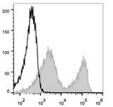 CD90.2 (Mouse) Antibody - C57BL/6 murine splenocytes are stained with Anti-Mouse CD90.2 Monoclonal Antibody(AF488 Conjugated)(filled gray histogram). Unstained splenocytes (empty black histogram) are used as control.