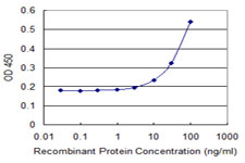 CD95 / FAS Antibody - Detection limit for recombinant GST tagged FAS is 3 ng/ml as a capture antibody.