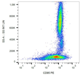 CD95 / FAS Antibody - Surface staining of human peripheral blood cells with anti-CD95 (LT95) PE.