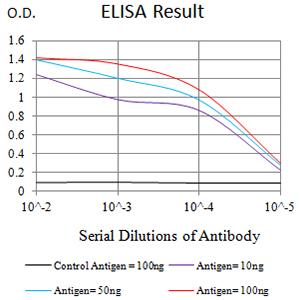 CD96 / TACTILE Antibody - Black line: Control Antigen (100 ng);Purple line: Antigen (10ng); Blue line: Antigen (50 ng); Red line:Antigen (100 ng)