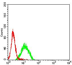 CD96 / TACTILE Antibody - Flow cytometric analysis of K562 cells using CD96 mouse mAb (green) and negative control (red).